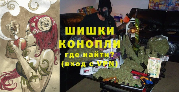 мдпв Верхний Тагил