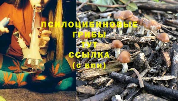 прущая мука Богородск