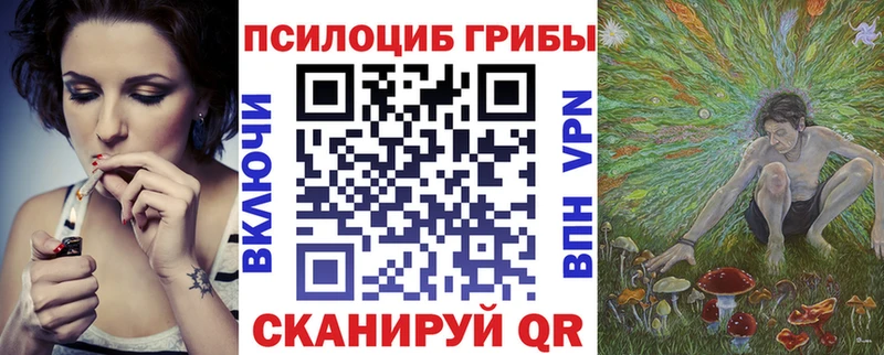 Псилоцибиновые грибы Magic Shrooms  где найти   Выкса 