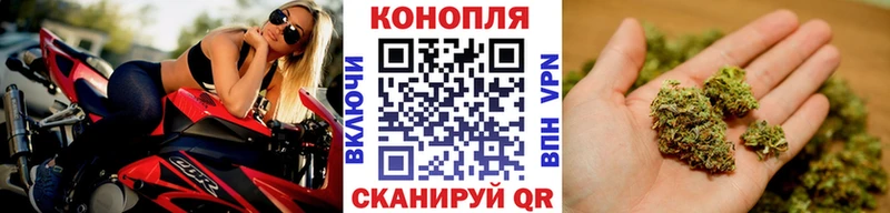 гидра ссылки  Выкса  Бошки Шишки план 
